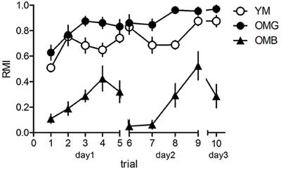 Striatal Transcriptome Reveals Differences Between Cognitively Impaired and Unimpaired Aged Male Rats